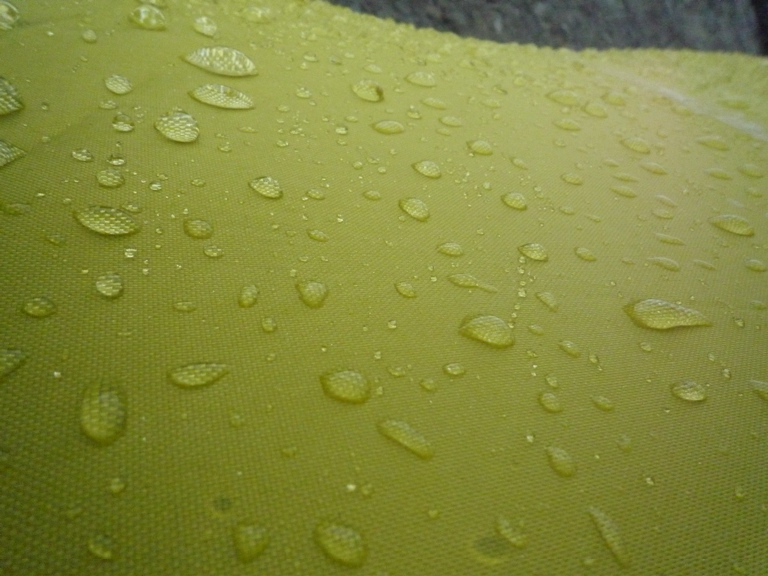 P1000528.JPG
