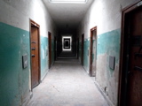 P1000487.JPG