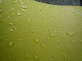 P1000528.JPG