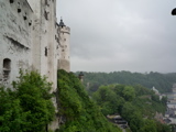 P1000541.JPG