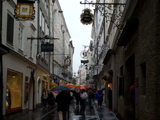 P1000554.JPG
