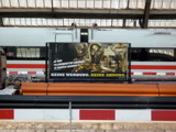 P1000647.JPG