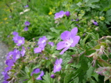 P1000862.JPG