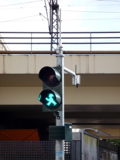 P1000164.JPG