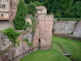 P1000297.JPG