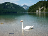 P1000453.JPG