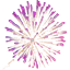 Spangle